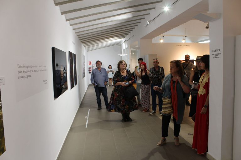 Últimos días para visitar la exposición de Patricia Allende en el Museo de Arte Contemporáneo ‘El Mercado